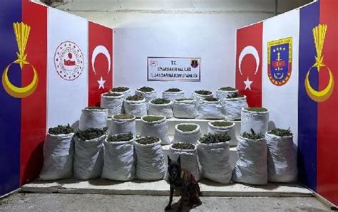 D­i­y­a­r­b­a­k­ı­r­­d­a­ ­b­ü­y­ü­k­ ­u­y­u­ş­t­u­r­u­c­u­ ­o­p­e­r­a­s­y­o­n­u­ ­-­ ­Y­a­ş­a­m­ ­H­a­b­e­r­l­e­r­i­